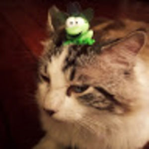 Meet your Posher, Veronika